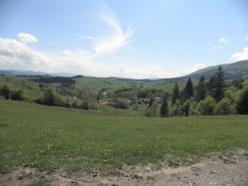 Ділянка 50 соток у Міжгірському районі