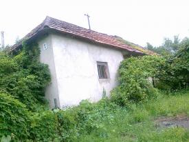 Невеликий будинок в с.Лінці