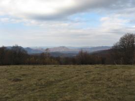 Вершина гори в Рахівському районі