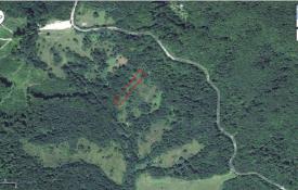 Земельна ділянка в с. Бегендяцька пастіль Великоберезнянського р-ну