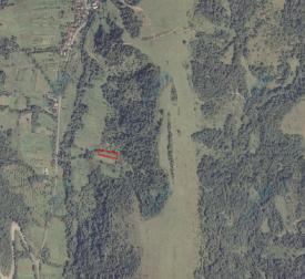 Ділянка в с. Розтоцька Пастіль Великоберезнянського району