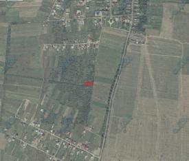 Продам 15 сот в с. Кінчеш