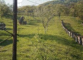 Земельна ділянка біля лісу в с. Сусково