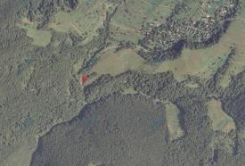 Ділянка при дорозі на с. Липовець Перечинського району