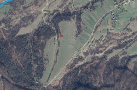 Дачна ділянка в с.Тур'я Пасіка