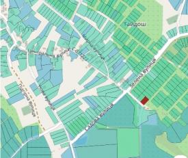 0,10 га в с. Кам"яницька Гута