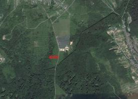 1 га ОСГ в с. Кам'яницька Гута