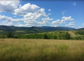 2 га в 1 км від туристичного комплексу "Воєводино"