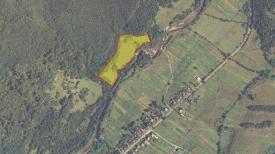 Земельна ділянка в лісі біля с. Туриця