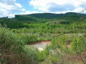 Ділянка в рекреаційній зоні Закарпаття