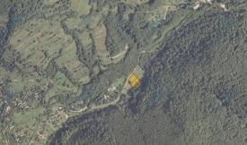 0,24 га в с. Лумшори на Перечинщині