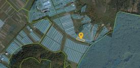 0,22 га під забудову під лісом в с. Вільховиця