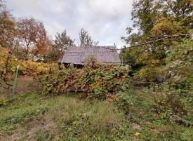 Дача а с. Оріховиця