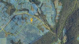 Ділянка під садівництво в с. Гута