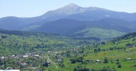 0,55 га в Лазещині, по дорозі на Буковель