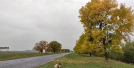 0,24 га в с. Велика Бийгань