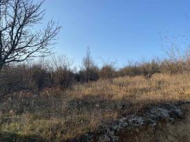 Земля під будівництво в с. Гута