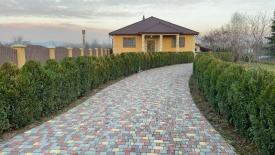 Будинок в с. Бедевля Тячівського району