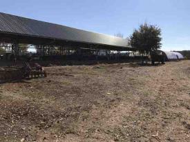 Фермерське господарство в Берегівському районі