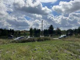 Дві спарені ділянки ОСГ біля рибника в смт. Середнє