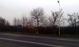 Земельна ділянка при трасі площею 0,40га в районі с. Кінчеш