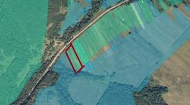 Земля під будівництво в с. Ярок