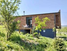 Дачний будинок в с. Нижнє Солотвино