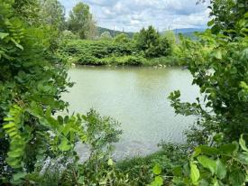 0.3298 га землі з альтанками для відпочинку в с. Оріховиця