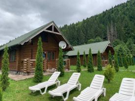 Будинки для відпочинку в Карпатах