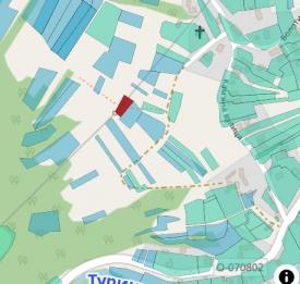 Ділянка ОСГ призначення в с. Лумшори