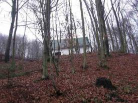 Ділянка під будівництво в с. Лумшори