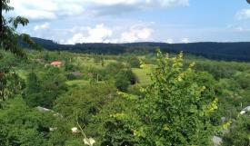 Ділянка під забудову в с.Гута