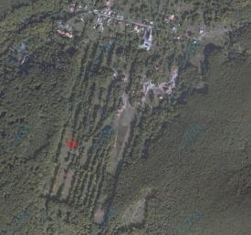 Продам земельну ділянку в Синяку