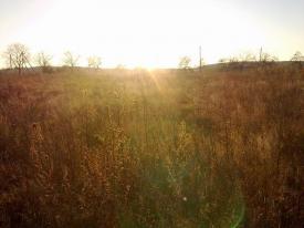 Продам земельну ділянку в селі Середнє