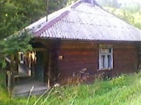 Дерев'яний будинок під лісом